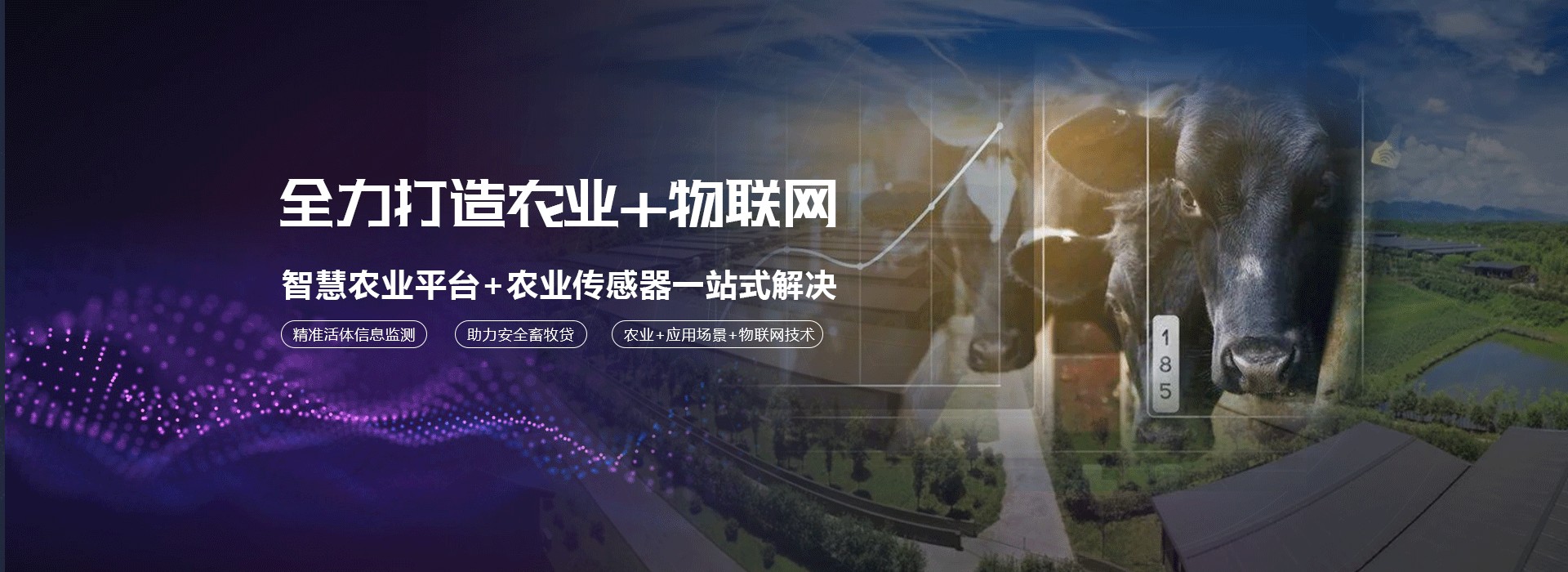 鄉(xiāng)村振興智慧畜牧業(yè)解決方案